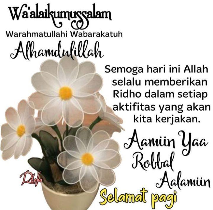 IMG-20230902-WA0002